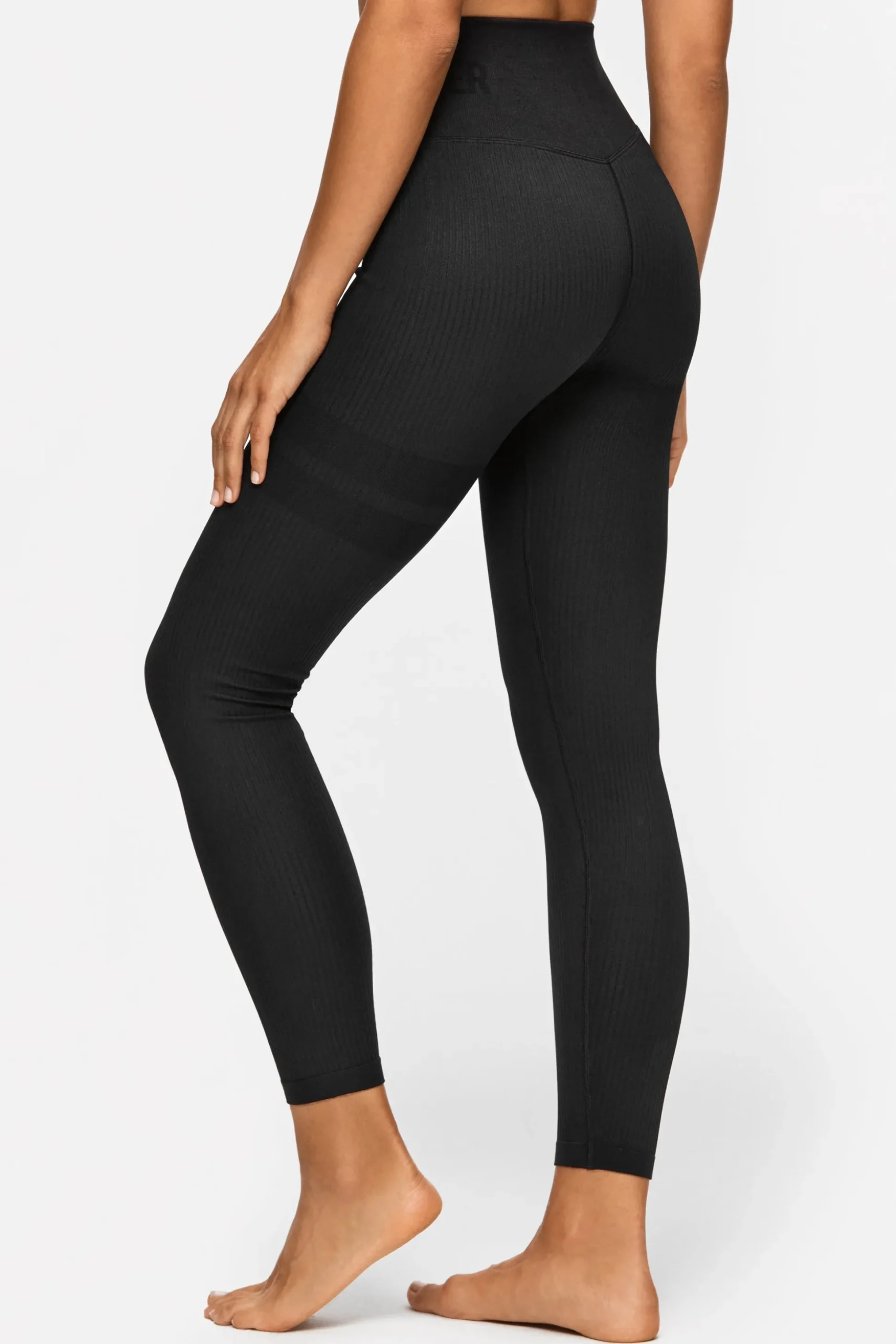 Rib Seamless Tights